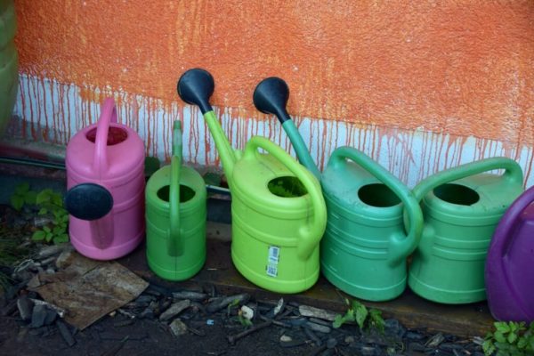 Urban Gardening im Münchner Rosengarten