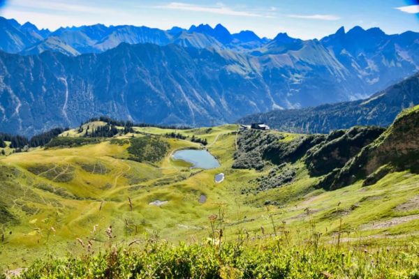 Gipfelblick am Fellhorn