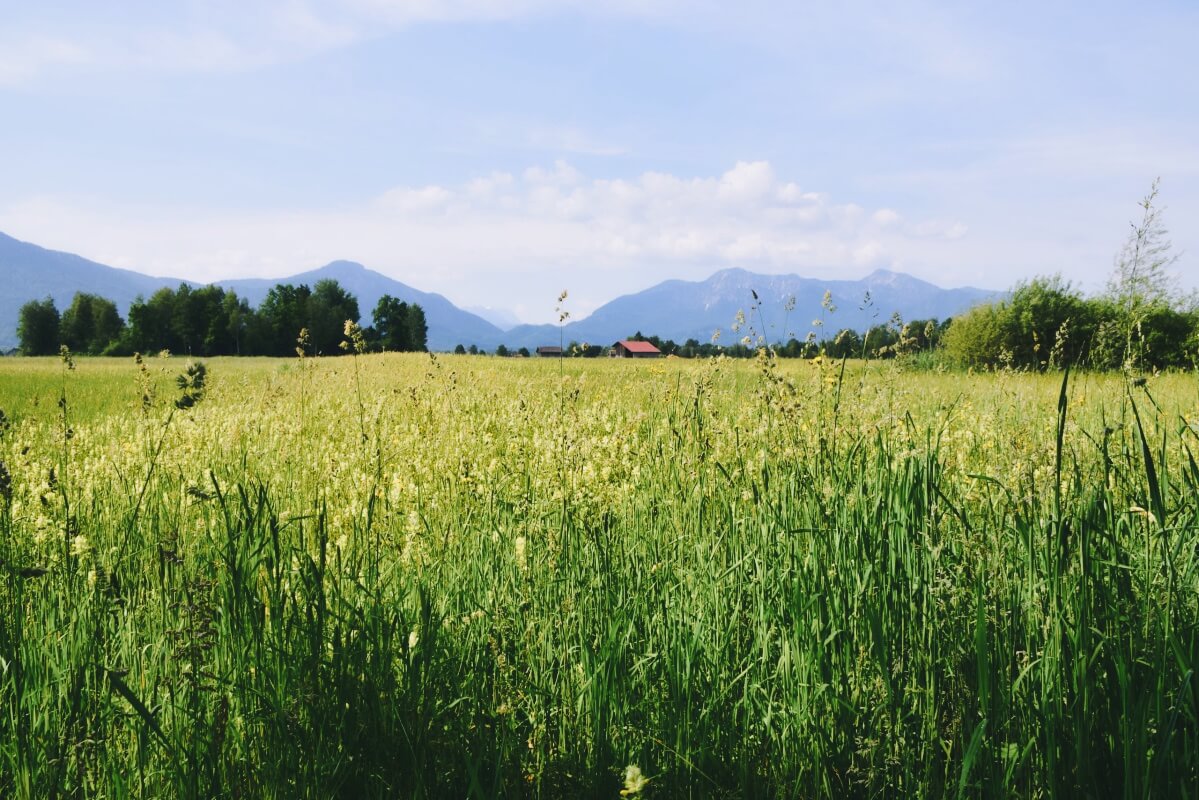 Wanderung mit Bergblick rund um Kloster Benediktbeuern