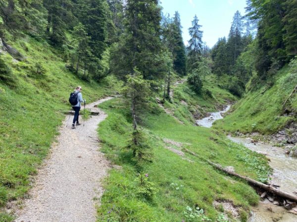 Wanderpfad auf der Wanderung über die Esterbergalm auf den Wank