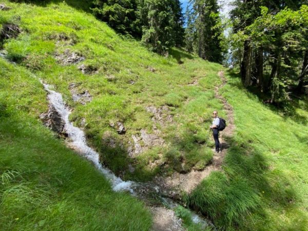 Wanderpfad auf der Wanderung über die Esterbergalm auf den Wank