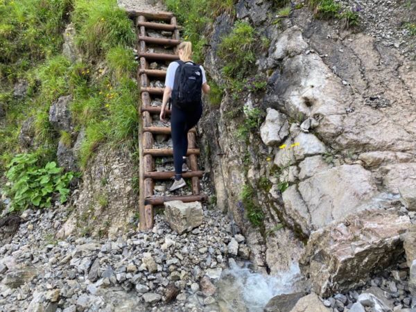 Wanderpfad auf der Wanderung über die Esterbergalm auf den Wank