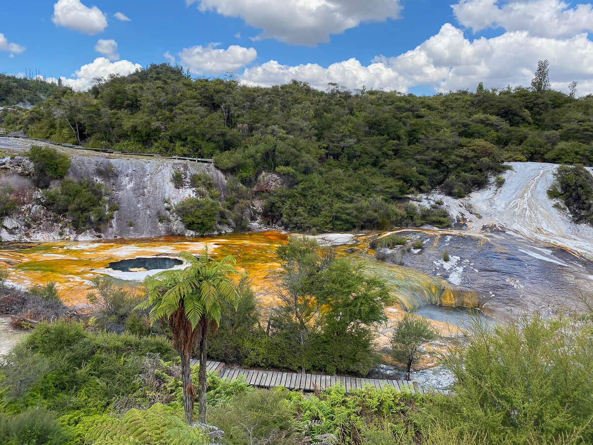 Geothermische Phänomene in Neuseeland: das Thermalgebiet Orakei Korako erstrahlt in vielen Farben zwischen grünen Baumfarnen 