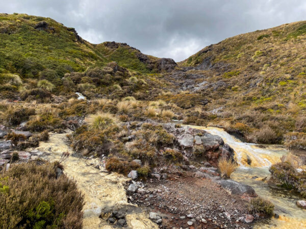 Vulkane in Neuseeland: Silica Falls Track im Tongariro Nationalpark
