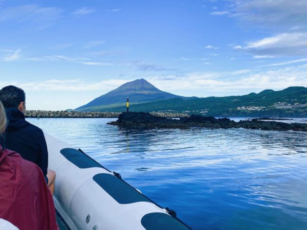 Inselhopping auf den Azoren: Whale-Watching-Tour mit Blick auf den Pico