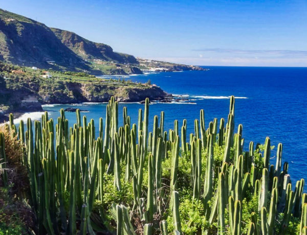Teneriffa Nordküste: Wanderweg mit Küstenblick bei Los Realejos