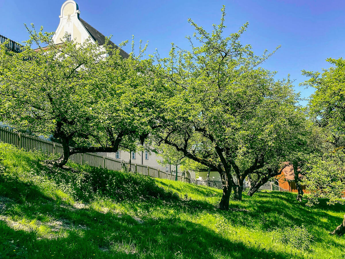 fuenf seen land kloster andechs garten |