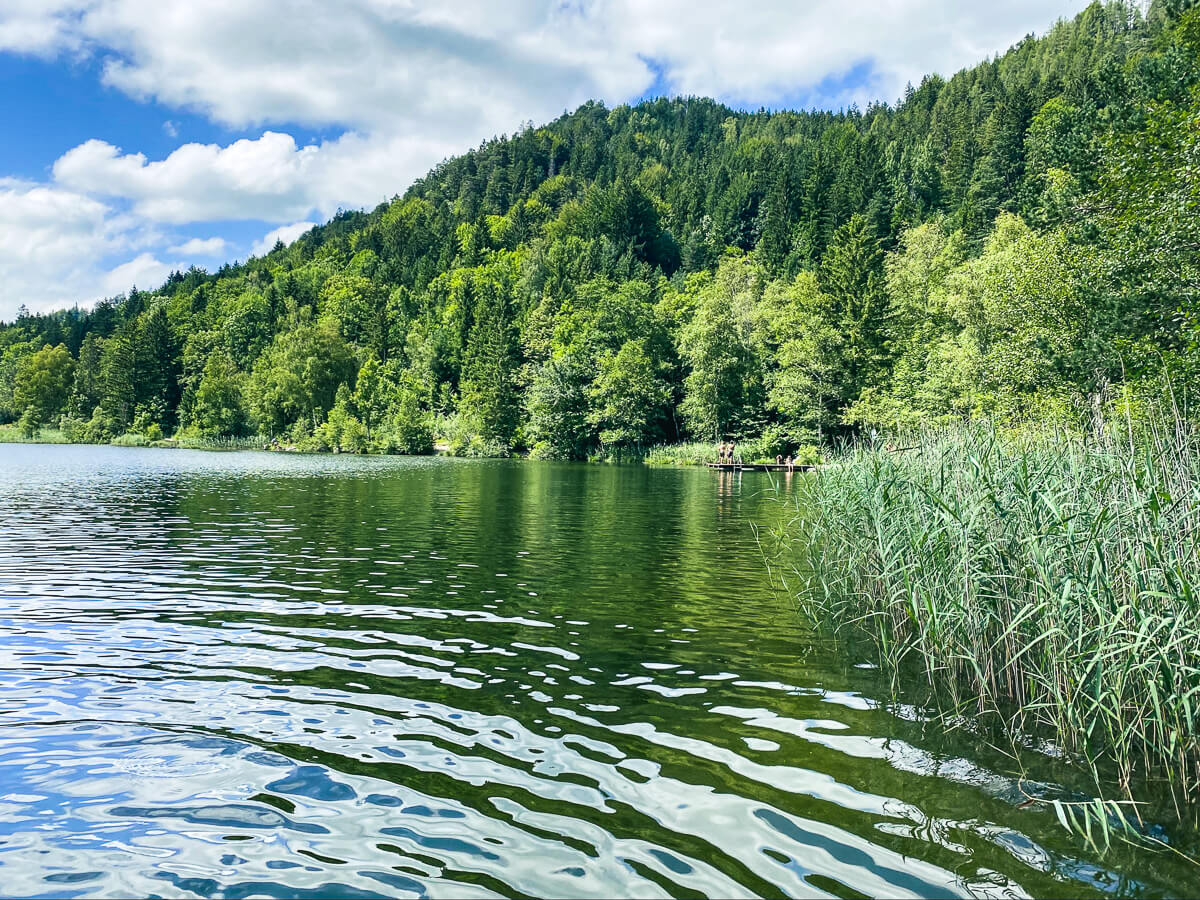 Sehenswürdigkeiten in Schwangau: Naturparadies Schwansee