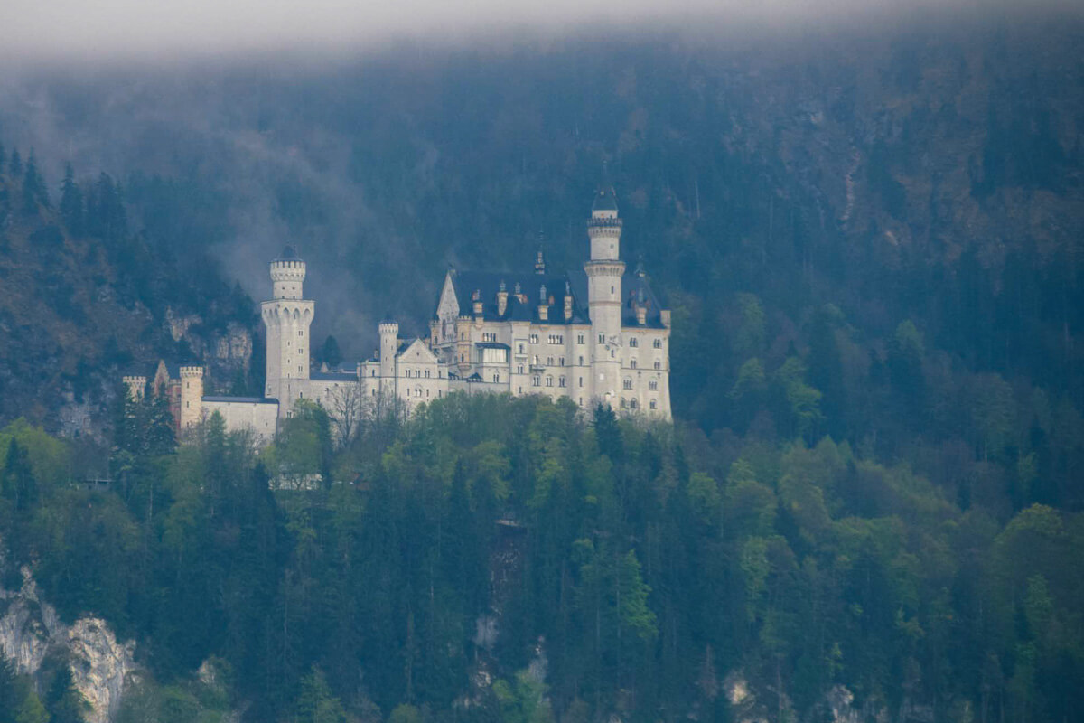 allgaeu schwangau neuschwanstein nebel 0507 |