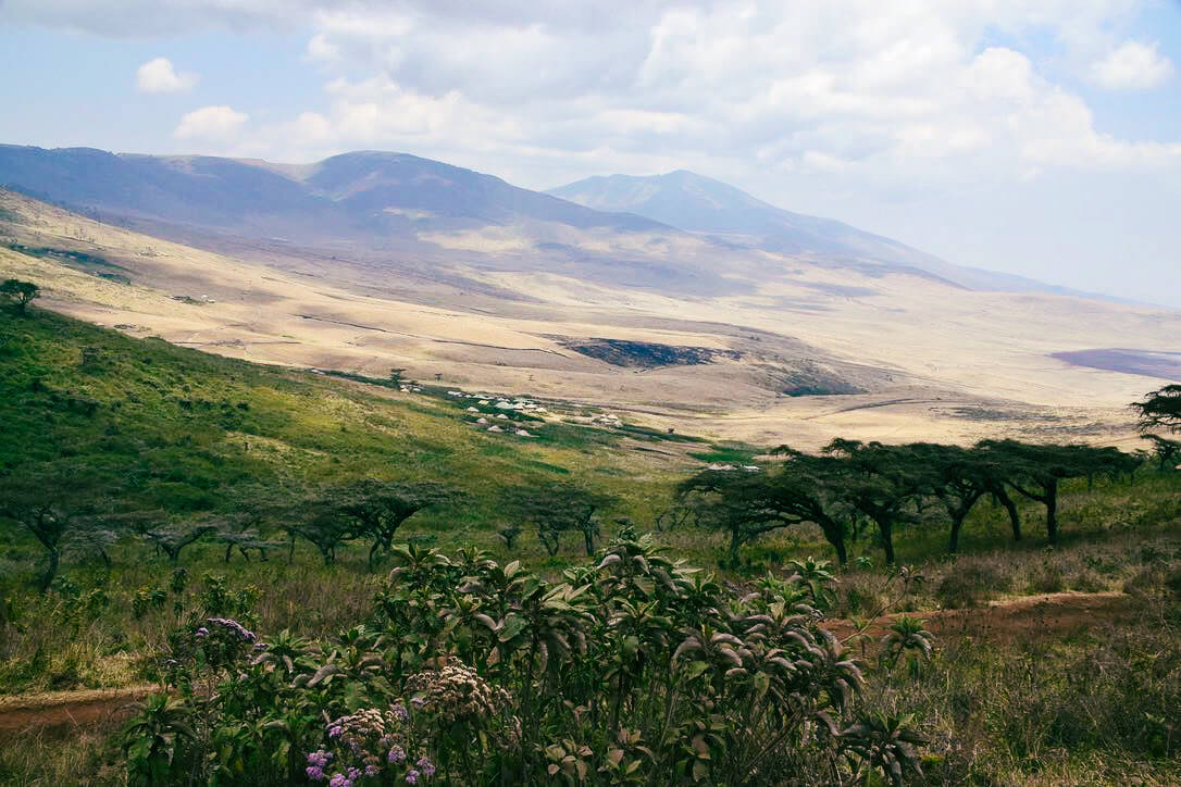 tansania ngorongoro schutzgebiet landschaft |