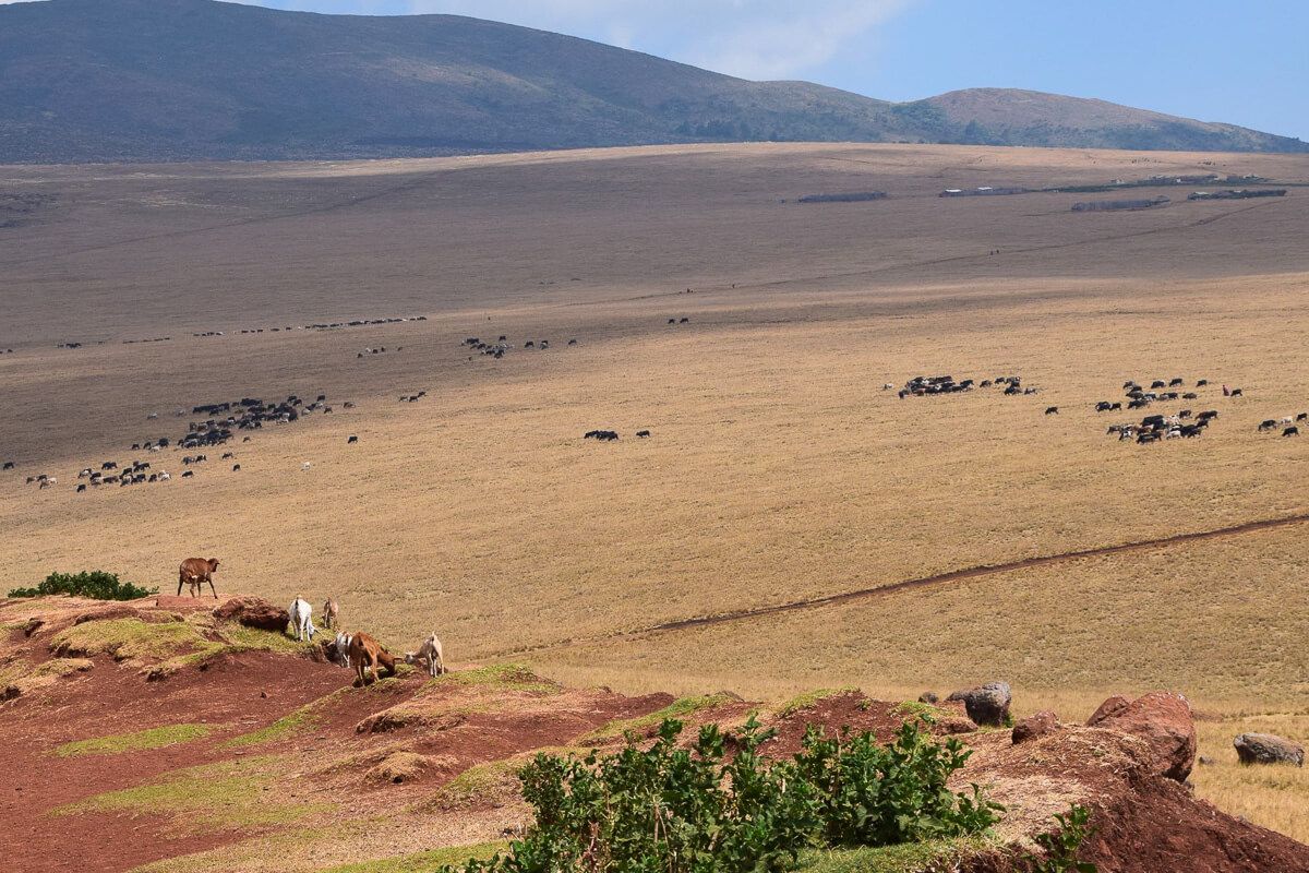 Land der Massai
