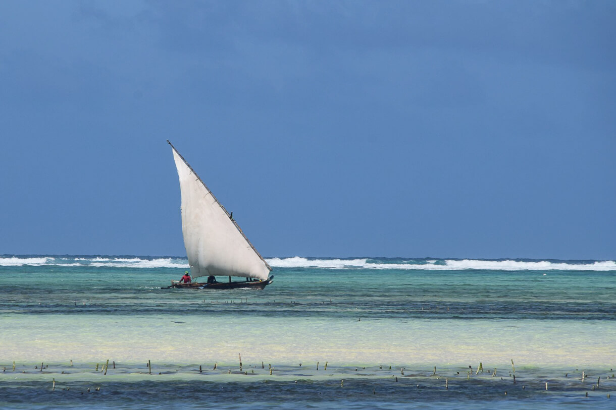 sansibar matemwe beach 04 1 |