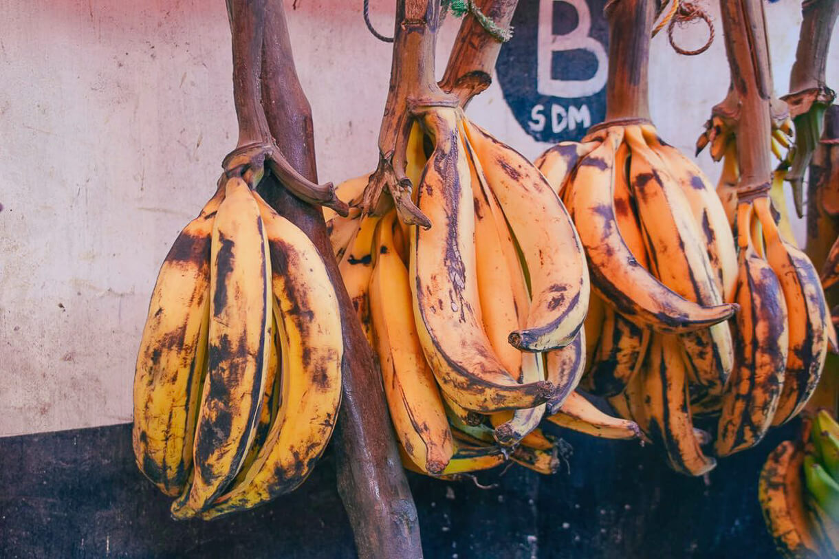 sansibar stone town markt bananen 1 |
