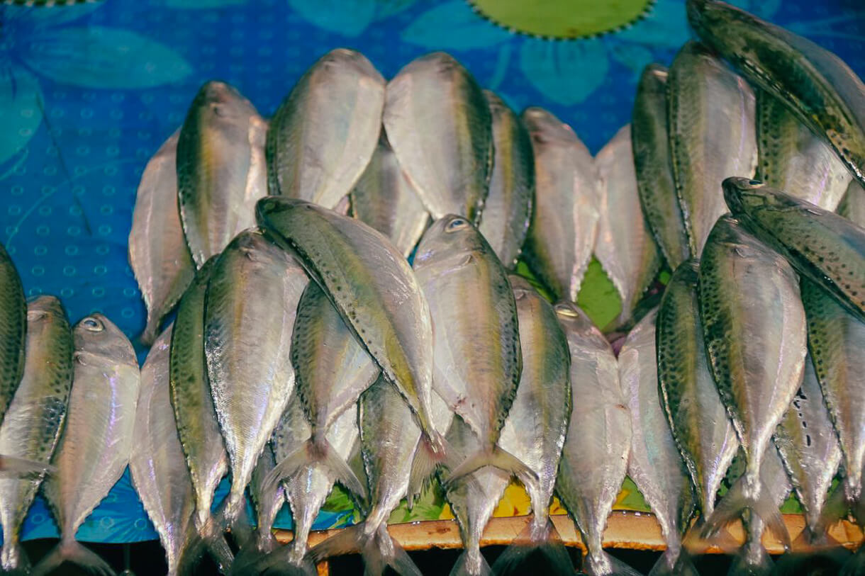 sansibar stone town markt fische |