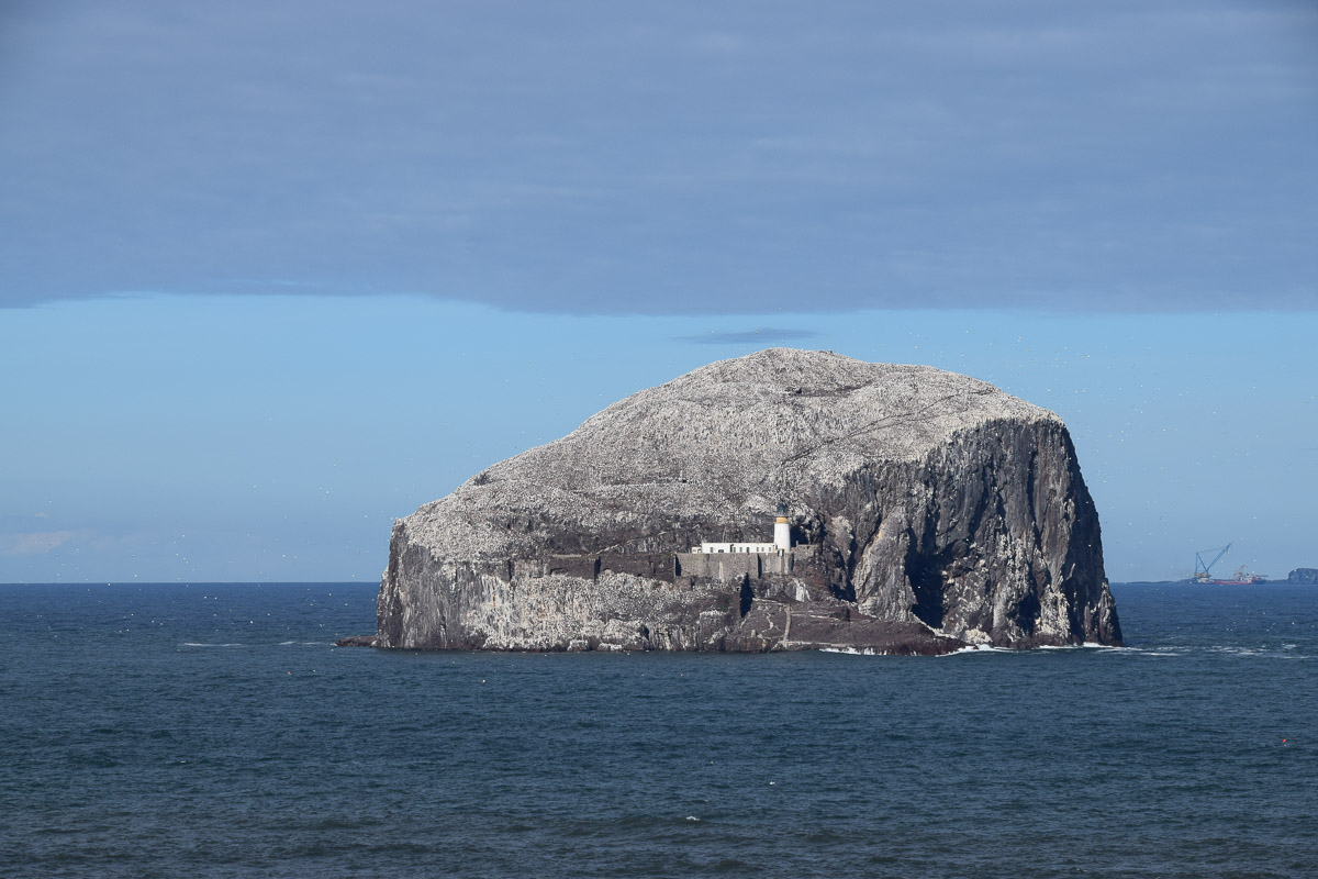 north berwick bass rock |