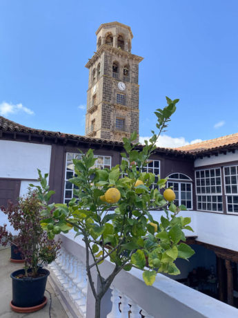 teneriffa la laguna casa museo |