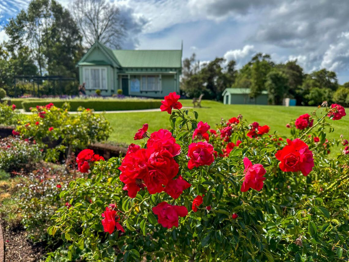 11 Spannende Erlebnisse Und Sehenswürdigkeiten In Rotorua Und Umgebung