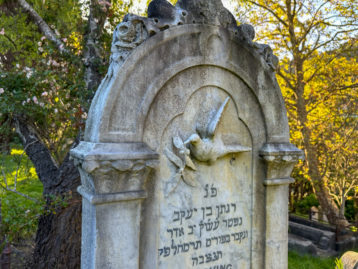 Wellington: Bolton Street Cemetery, jüdisches Grab