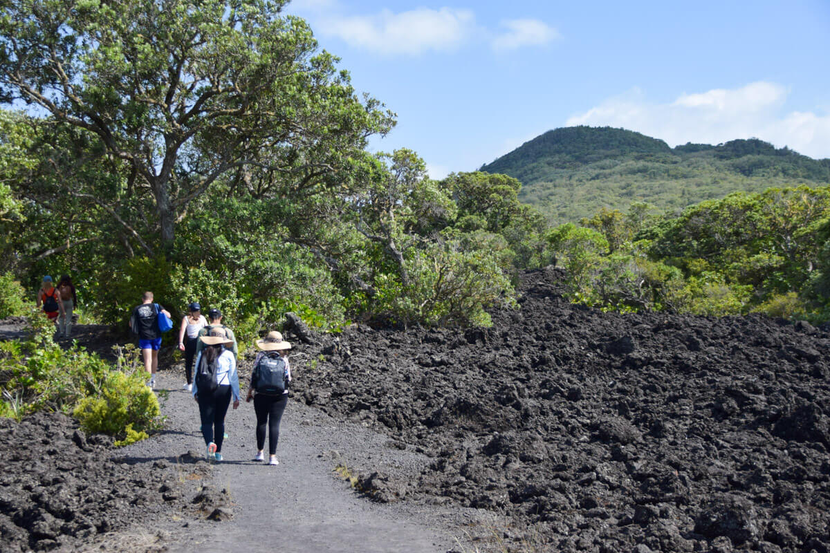 neuseeland auckland rangitoto |