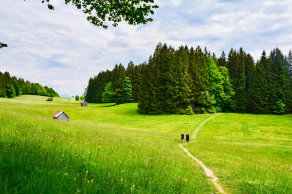 ammerleite rueckweg bayersoien |