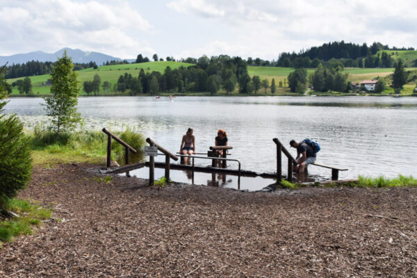 bayersoien soier see |