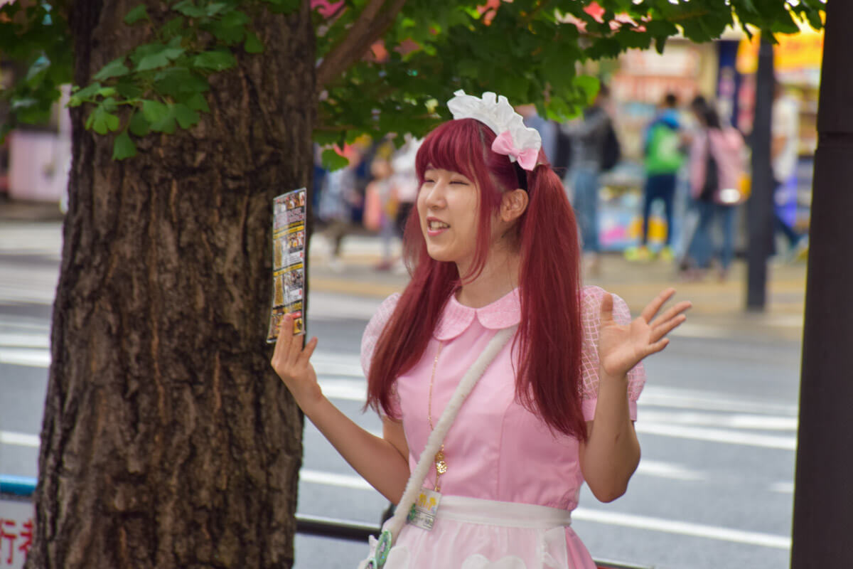 japan tokyo maid cafes |