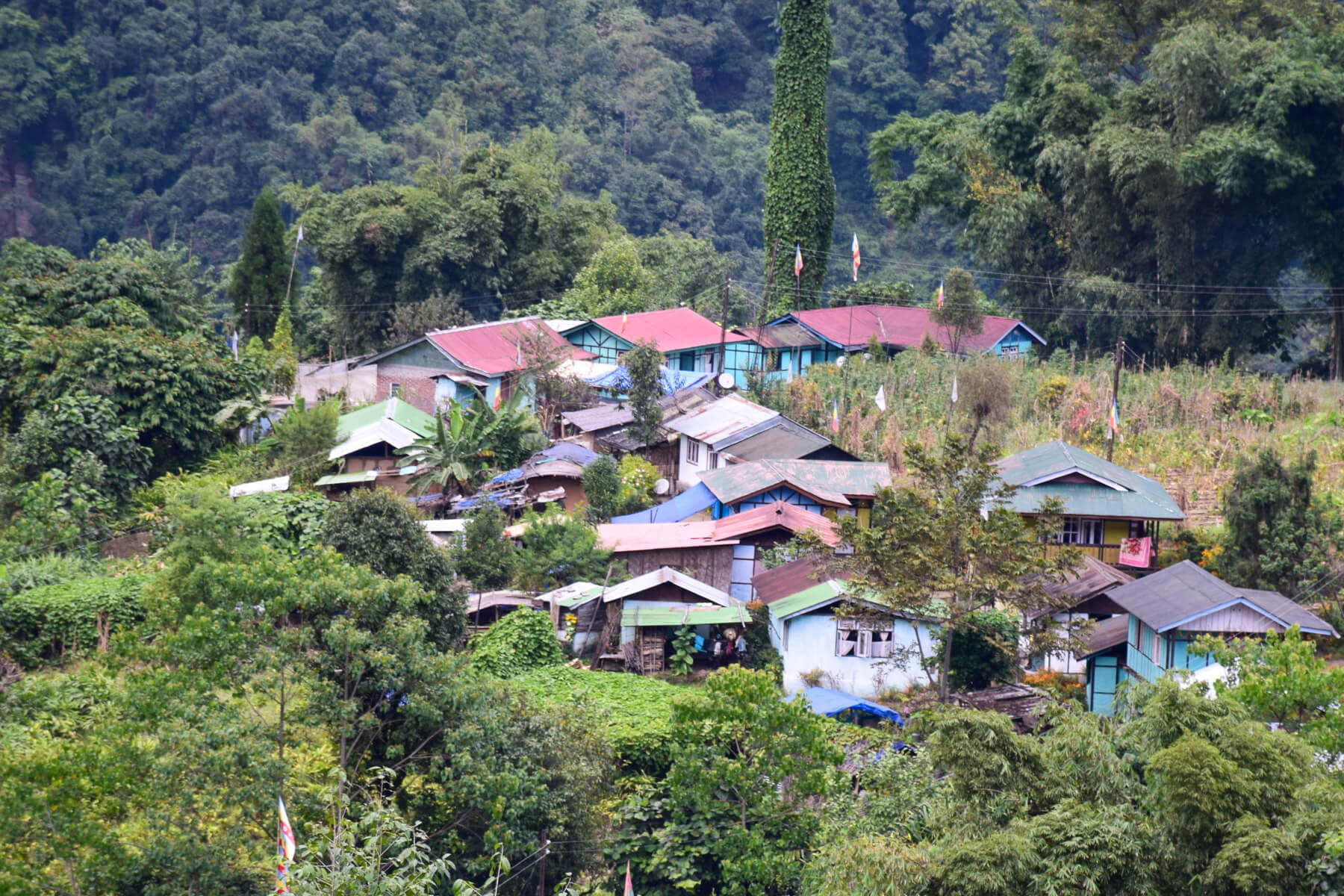 Reise nach Sikkim: bunte Häuser im Dorf Darap