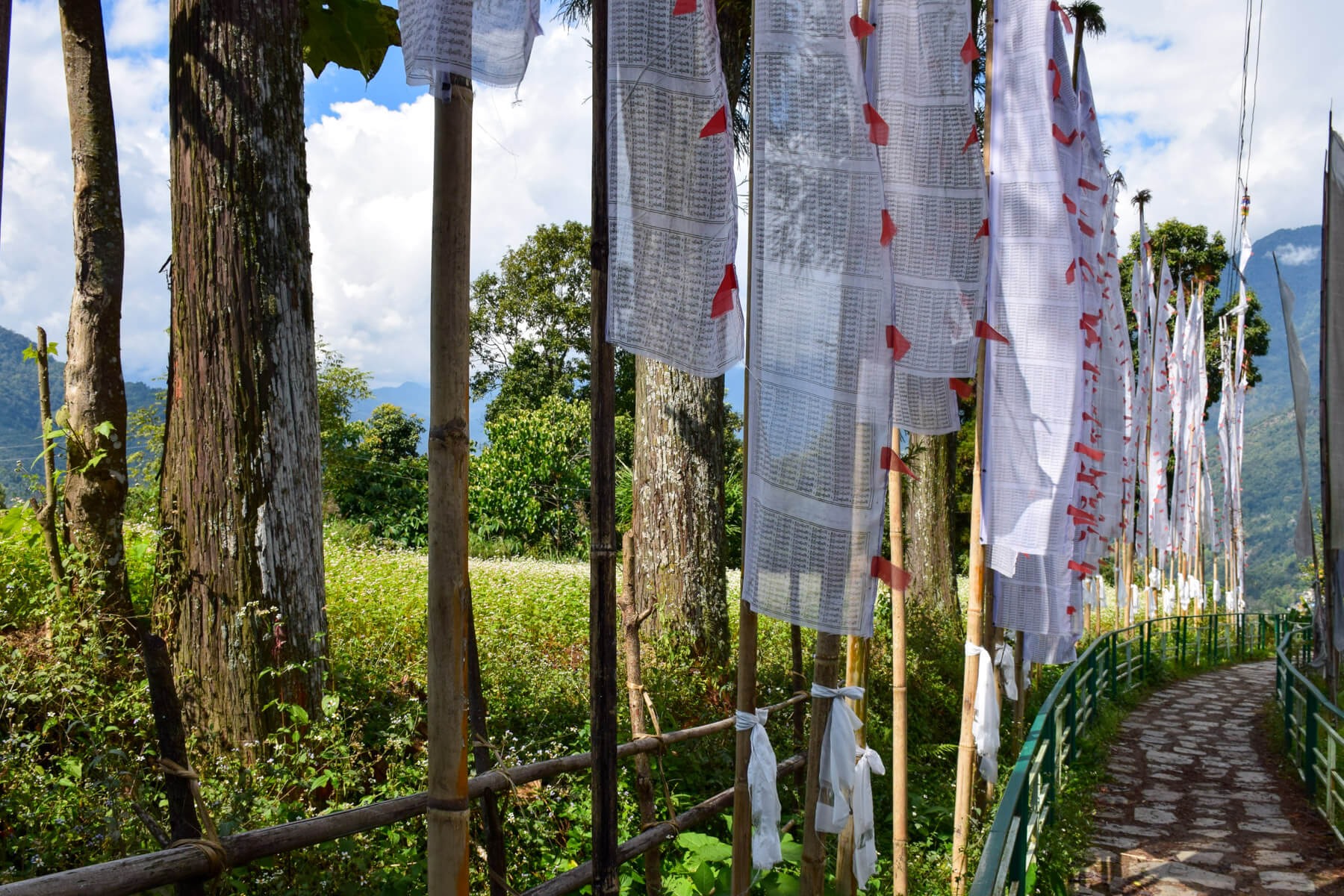 Klöster in Sikkim: Gebetsfahnen im Kloster Rumtek
