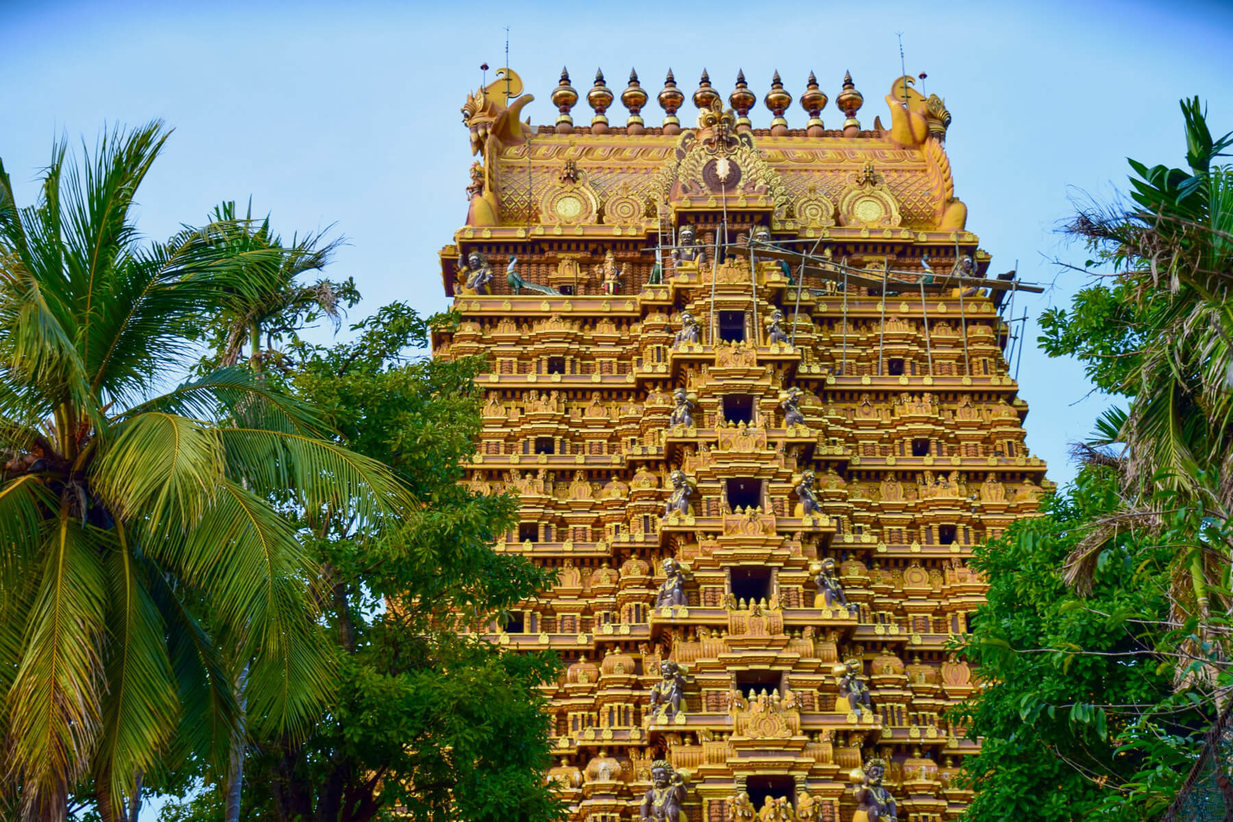 sri lanka jaffna 3 |