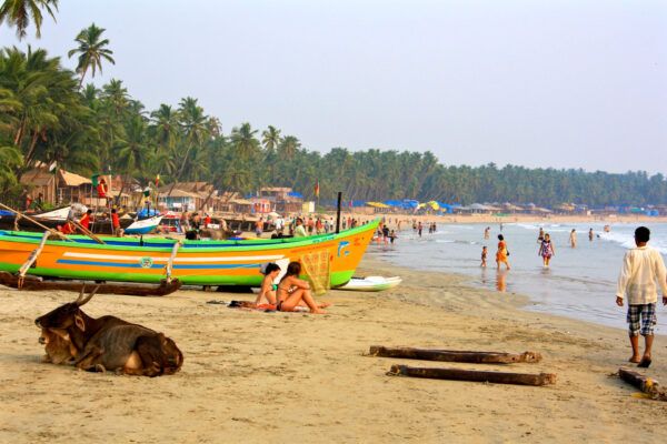 Urlaub in Goa: Palolem Beach