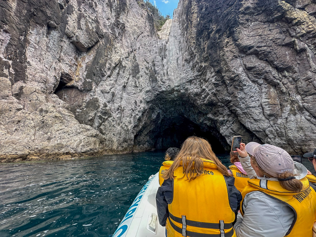 Coromandel Peninsula, Neuseeland: Hahei Marine Reserve