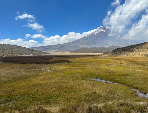 ecuador cotopaxi lagune 1 2 |