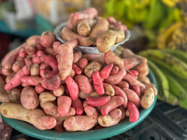 Highlights in Ecuador: Kartoffeln auf dem Markt