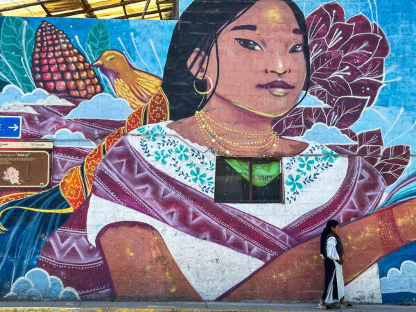 Highlights in Ecuador: Mural mit Indigena-Frau