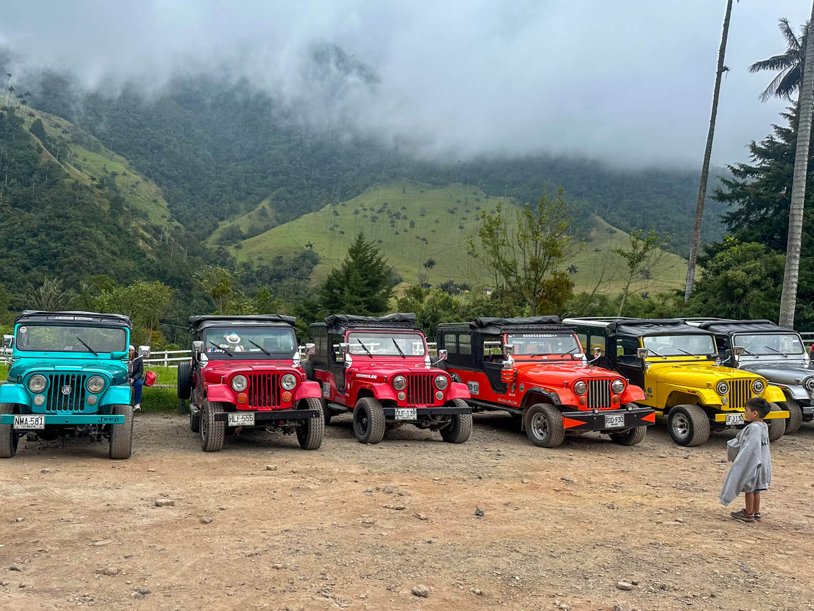 Jeeps warten auf Kunden