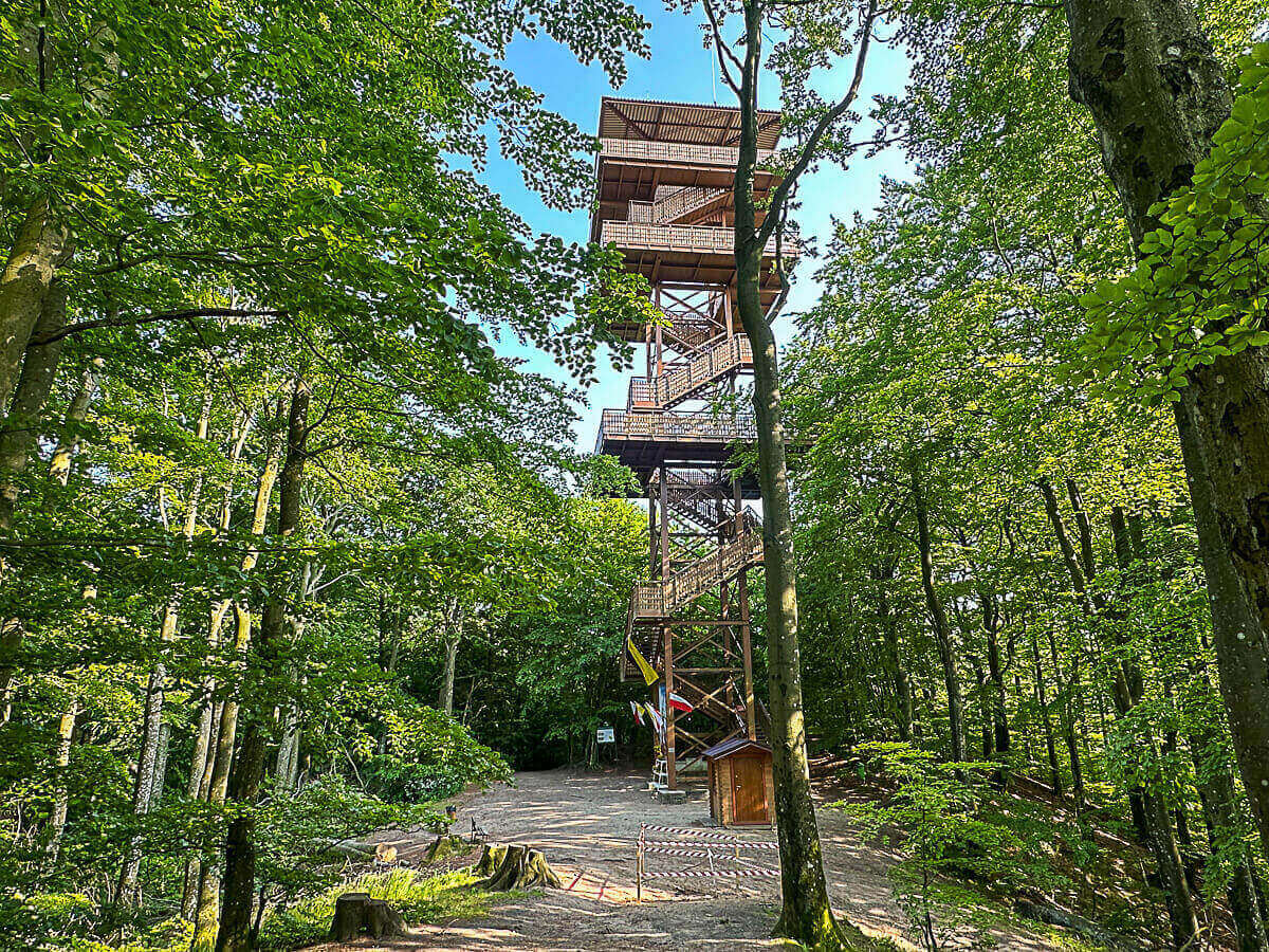 Hölzerner Aussichtsturm im Wald