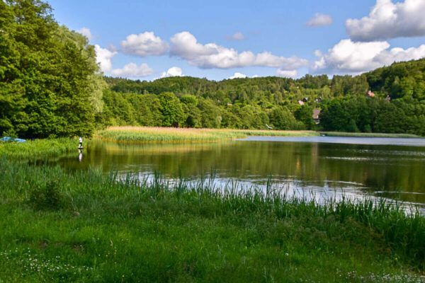 See mit Schilf und einem Angler in der Ferne