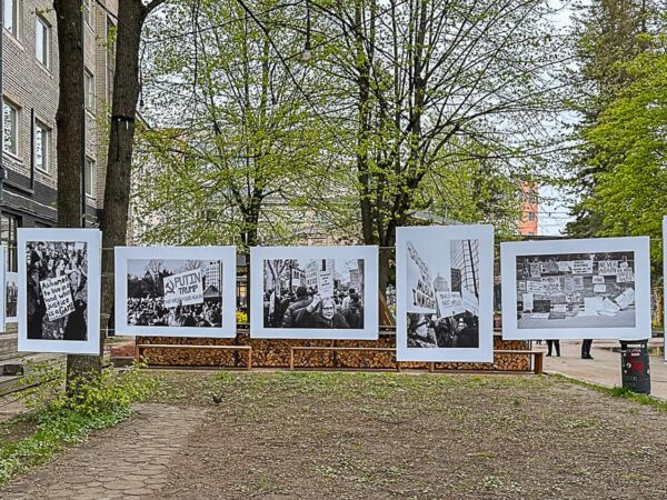 Fotografien an einer Leine zwischen zwei Bäumen