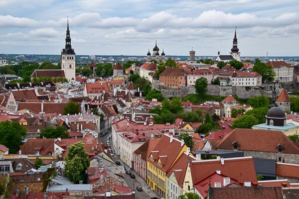 Blick auf die Altstadt von Tallinn mit ihren Türmen.