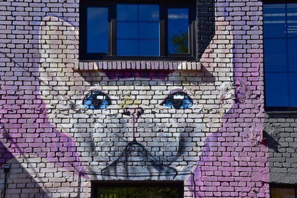 Mural mit Katze
