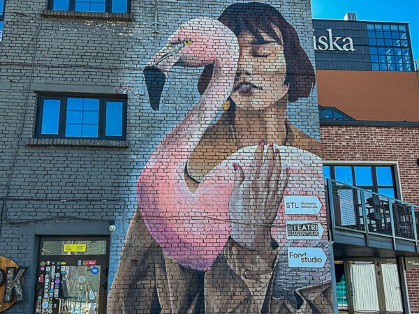 Mural an einer Häuserwand, das eine Frau mit rosa Schwan zeigt