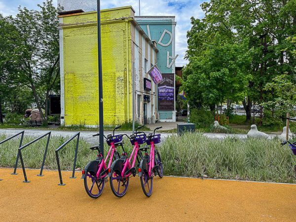 Bunt angestrichenes Gebäude, vor Leihfahrräder in pink